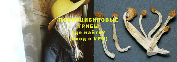spice Магас