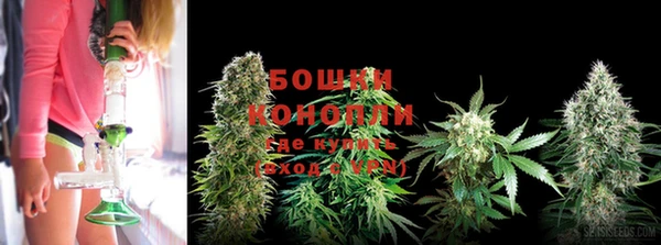 spice Магас
